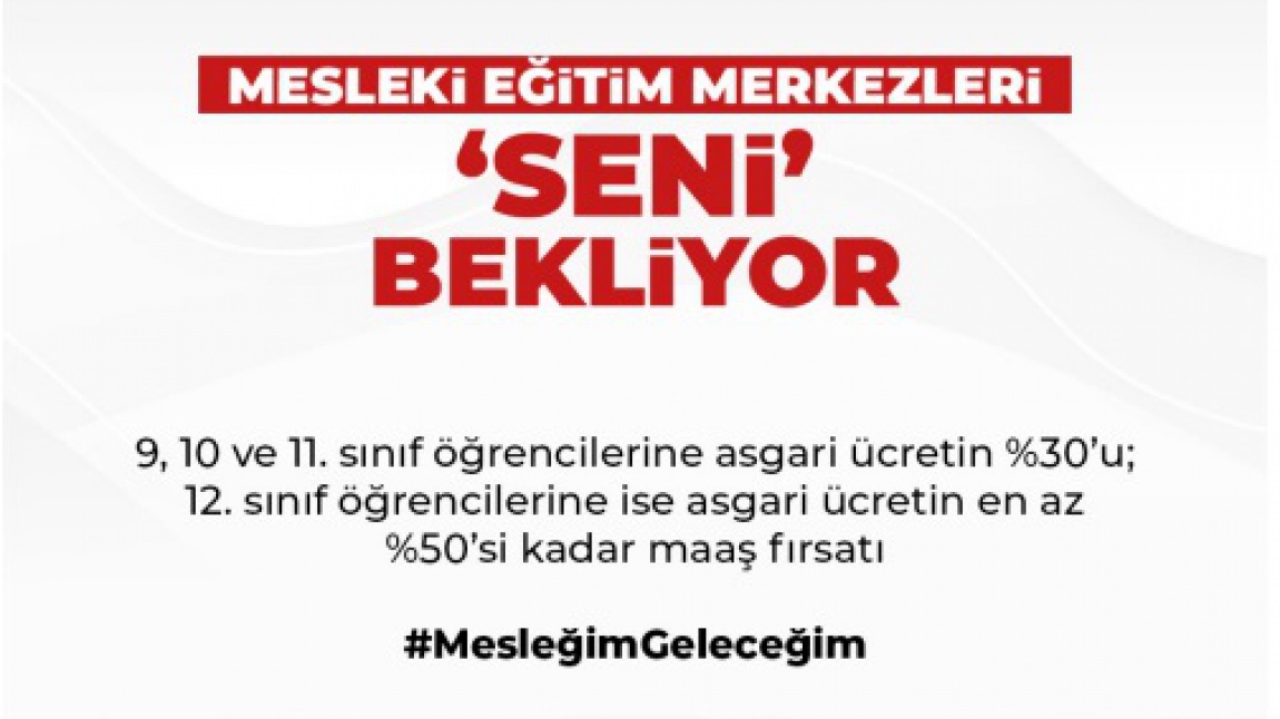 MESEM Programı Alan ve Dallarımız